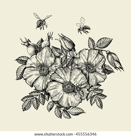 bee flower stock images royalty free images amp vectors bee flower stock images royalty free images amp vectors