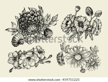 draft deutsch bank Drawn Stock Flower Poppy Sketch Vector Hand Flowers