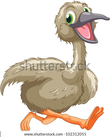 Cartoon Emu On White Eps Vector Stock Illustration 102312055 - Shutterstock