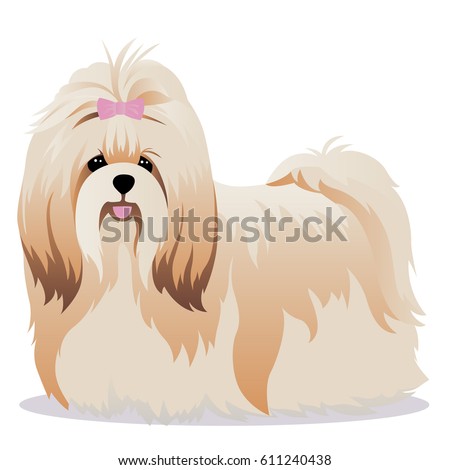 Shih Tzu Dog Stock Vector 611240438 - Shutterstock