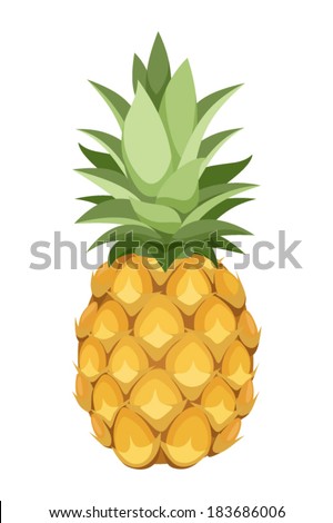 Pineapple. Vector illustration.