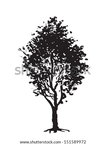 Silhouette Oak Tree Stock Vector 1535426 - Shutterstock