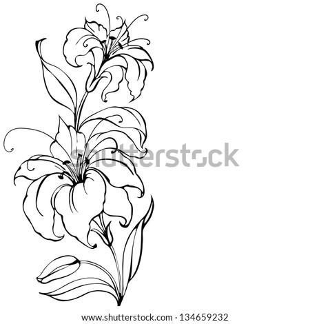 Lily Flower Stock Photos, Royalty-Free Images & Vectors - Shutterstock