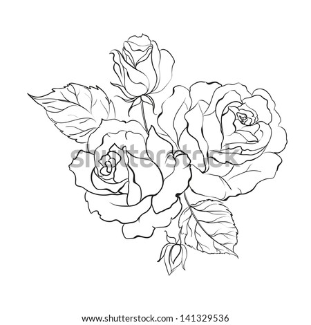 Rose outline Stock Photos, Images, & Pictures | Shutterstock