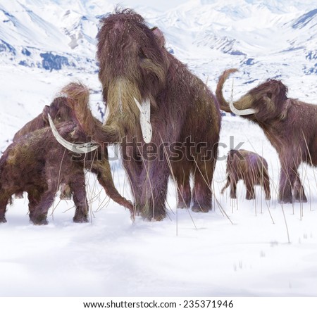 Woolly Mammoth Stock Photos, Images, & Pictures | Shutterstock