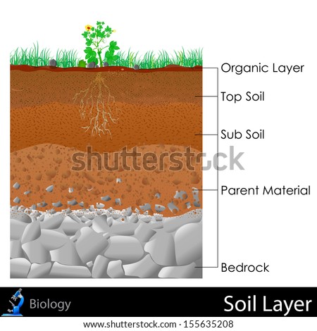 Easy Edit Vector Illustration Diagram Layer Stock Vector 155635208 ...