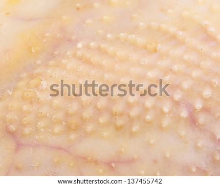 skin closeup stock images royalty free images vectors chicken skin macro stock photo royalty free 137455742 skin closeup stock images royalty free images vectors chicken skin macro stock photo royalty free 137455742