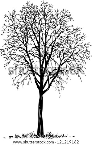 Vector Black Silhouette Bare Tree Stock Vector 141189109 - Shutterstock