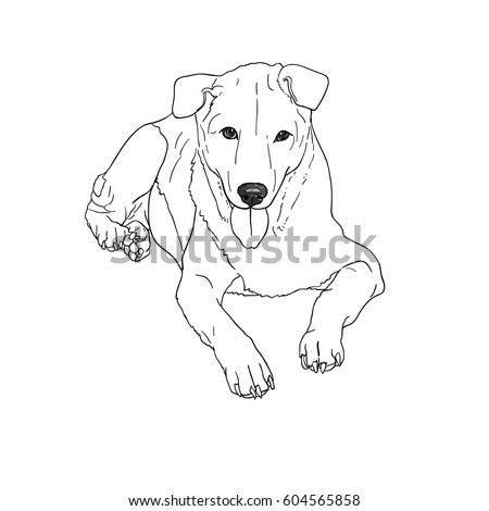 Outline Dog Lying Down Stock Vector 604565858 - Shutterstock