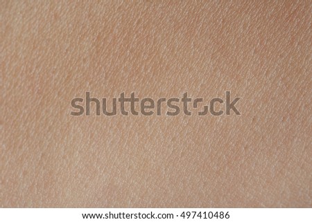 up texture of human skin with pores stock photo royalty free image 133633105 alamy skin pores stock images royalty free images vectors up texture of human skin with pores stock photo royalty free image 133633105 alamy skin pores stock images royalty free images vectors