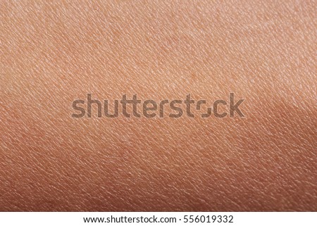 Skin Stock Images, Royalty-Free Images & Vectors | Shutterstock