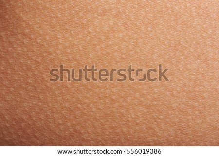 skin closeup stock images royalty free images vectors skin stock images royalty free images vectors skin closeup stock images royalty free images vectors skin stock images royalty free images vectors