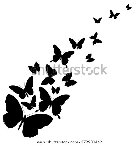 butterfly valentines day cards