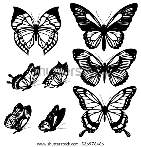 butterfly stock images royalty free images amp vectors butterfly stock images royalty free images amp vectors