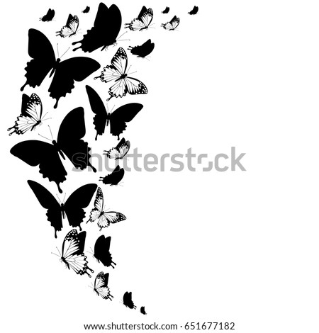 Download Butterflies Flying Stock Images, Royalty-Free Images ...