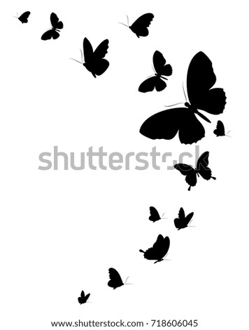 Black Butterfly Isolated On White Stock Vector 718606045 ...