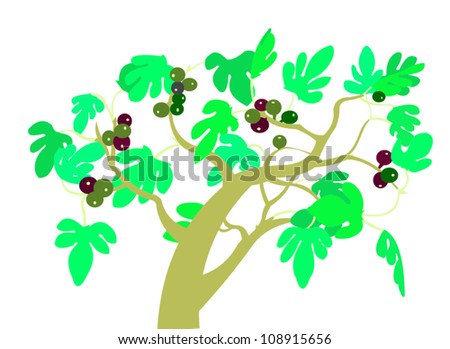 Fig Tree Clip Art