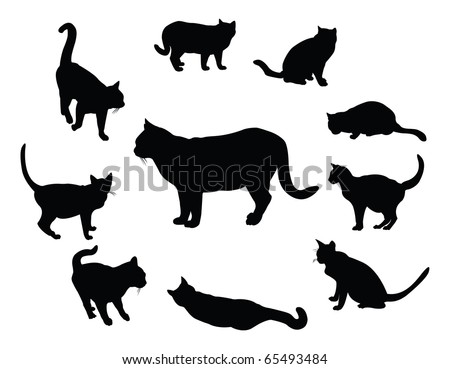 Cat Profile Stock Images, Royalty-free Images & Vectors 