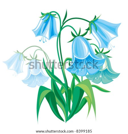 Blue Bellflower Stock Vector 8399185 - Shutterstock