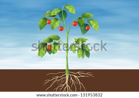Plant Part Stock Images, Royalty-Free Images & Vectors | Shutterstock