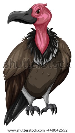 Cartoon Evil Looking Vulture Isolated On Stock Vector 119032273 ...