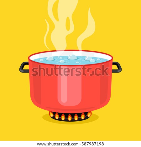 Boiling Water Pan Red Cooking Pot Stock Vector 587987198 - Shutterstock