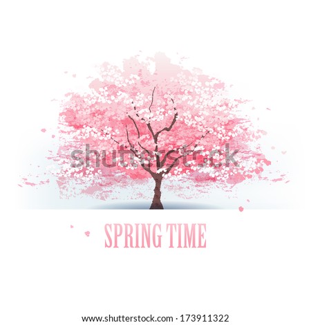 Isolated beautiful cherry blossom tree.