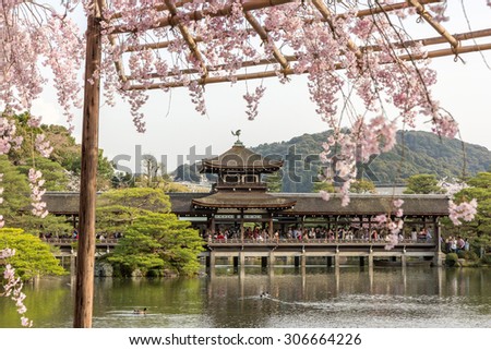 Japanese Garden Cherry Blossom Bridge japan cherry blossom stock photos, royalty-free images & vectors Japanese Garden Cherry Blossom Bridge japan cherry blossom stock photos, royalty-free images & vectors