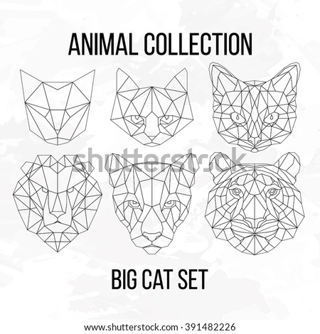 Set of geometric cat tiger lion puma head isolated on white background vintage vector design element illustration