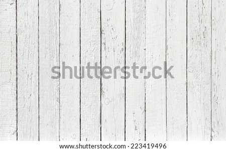 White Wood Texture White Wood Texture