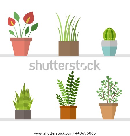 Vector Set Flat Flowers Pots Stock Vector 443696065 - Shutterstock