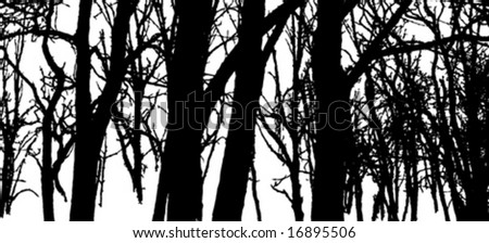 Vector Forest Silhouette Stock Vector 16895506 - Shutterstock