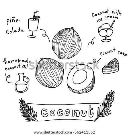 Coconuts with various coconut dish ideas and benefits such as pina colada cocktail, coconut cake, coconut milk ice cream, handmade coconut oil. Vector illustration with doodle style.