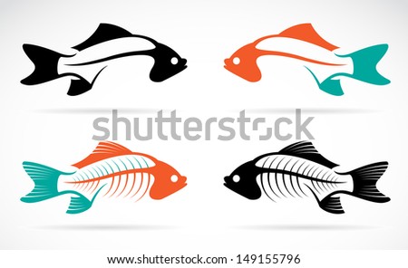 Vector Image Fish Bones On White Stock Vector 149155796 - Shutterstock