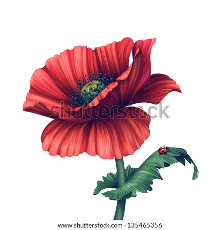 creative illustration of red poppy flower isolated on white background ...