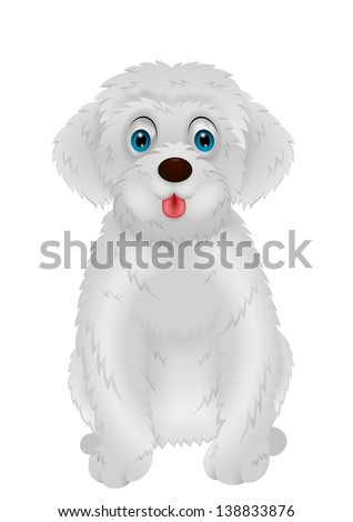 White Fluffy Dog Stock Photos, Images, & Pictures | Shutterstock