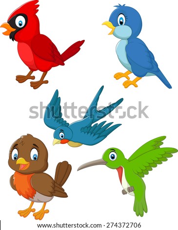 Bird cartoon Stock Photos, Images, & Pictures | Shutterstock