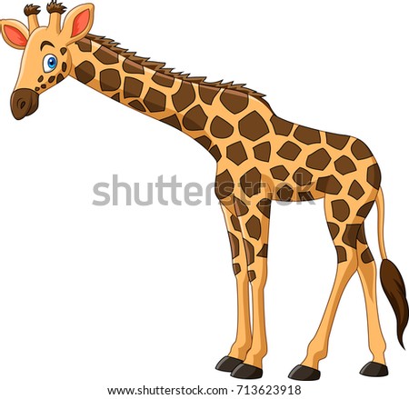 Cartoon Giraffe Isolated On White Background Stock Vector 713623918 ...