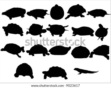 Turtle Vector Silhouettes Collection Turtle Vector Stock Vector ...