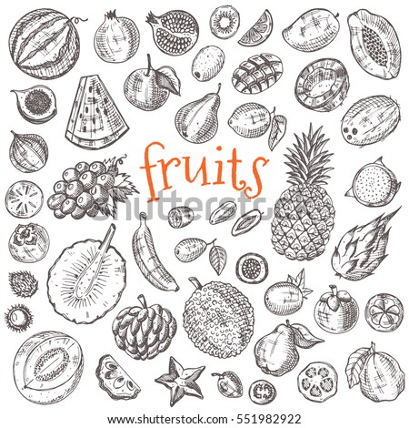 Tropical fruits set. Hand drawn vector illustration. Design elements. Carambola, lychee, kiwi, papaya, watermelon, rambutan, honeydew, coconut, kumquat, grapefruit, loganberry, pomegranate and other.