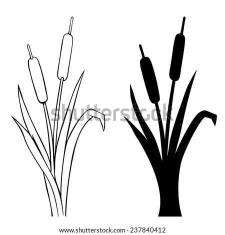 Cattails Vector Stock Photos, Images, & Pictures | Shutterstock