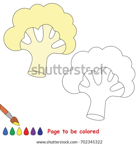 Vegetable Cauliflower To Be Colored The Coloring Book For Preschool Kids With Easy Educational Gaming