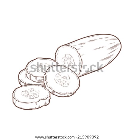 Sliced cucumber isolated on a white background. Line art. Retro design. Vector illustration.
