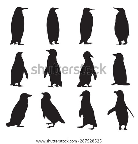 Vector Image Collection Penguins Silhouettes Stock Vector (Royalty Free