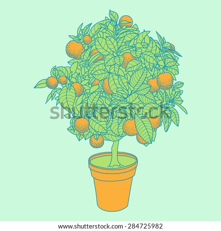 Calamondin Stock Vectors, Images & Vector Art | Shutterstock