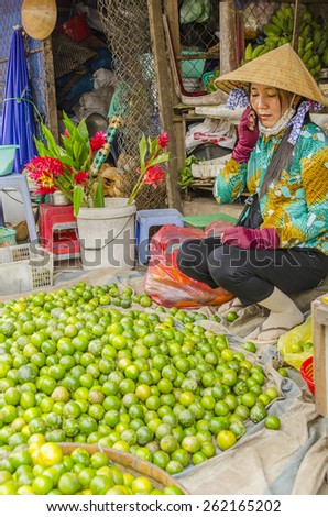 VINH LONG, VIETNAM, JANUARY 3, 2013: Local woman sells fruits along the street in Vinh Long market