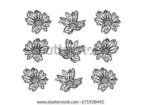 Set 9 Different Hand Drawn Flowers Stock Vector 146962145 - Shutterstock