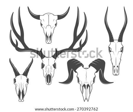 Animal Skull Stock Images, Royalty-Free Images & Vectors | Shutterstock