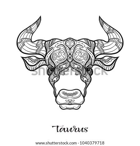 Taurus Bull Ox Zodiac Sign Astrological Horoscope Collection Outline Vector Illustration