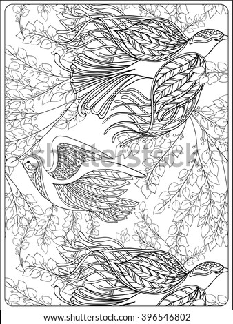 Vector Hand Drawn Peacock Illustration Adult Stock Vector 397836064 ...